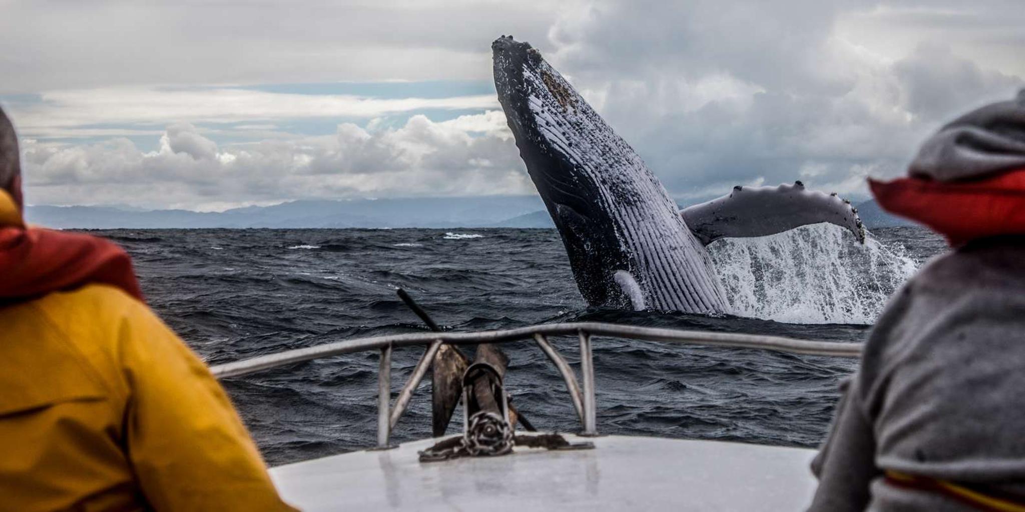 Anchorage Kenai Fjords & Denali National Park Tour 5 Days