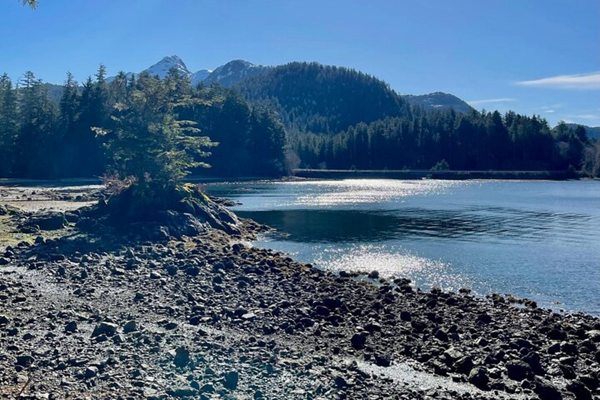 Sitka Nature Walk in Tongass National Forest - Image 2