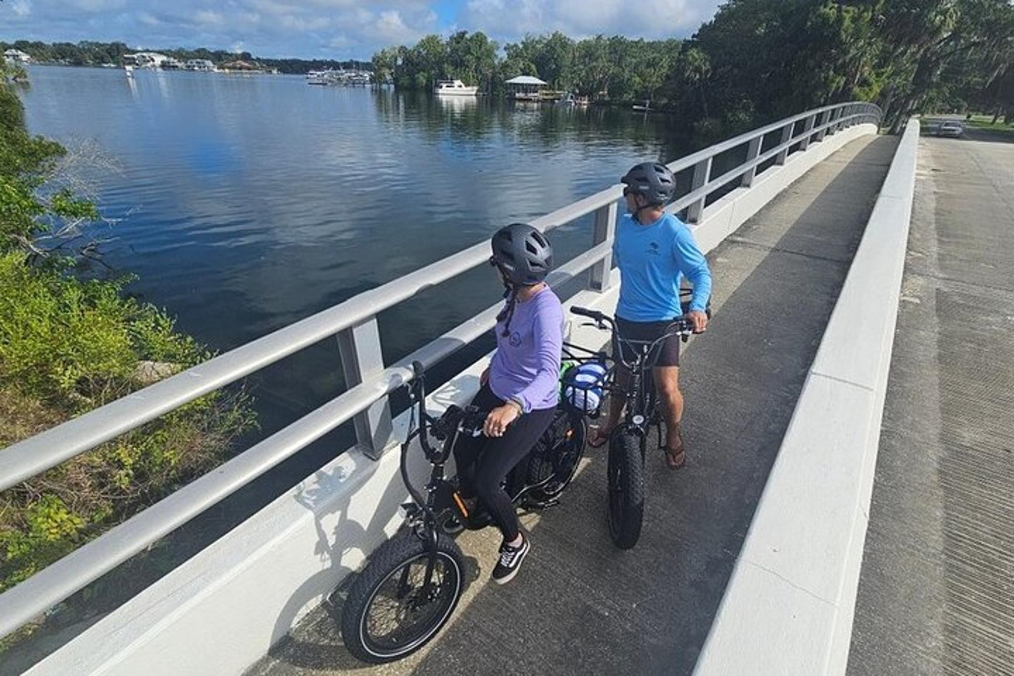 Crystal River E-Bike Tour - Image 3
