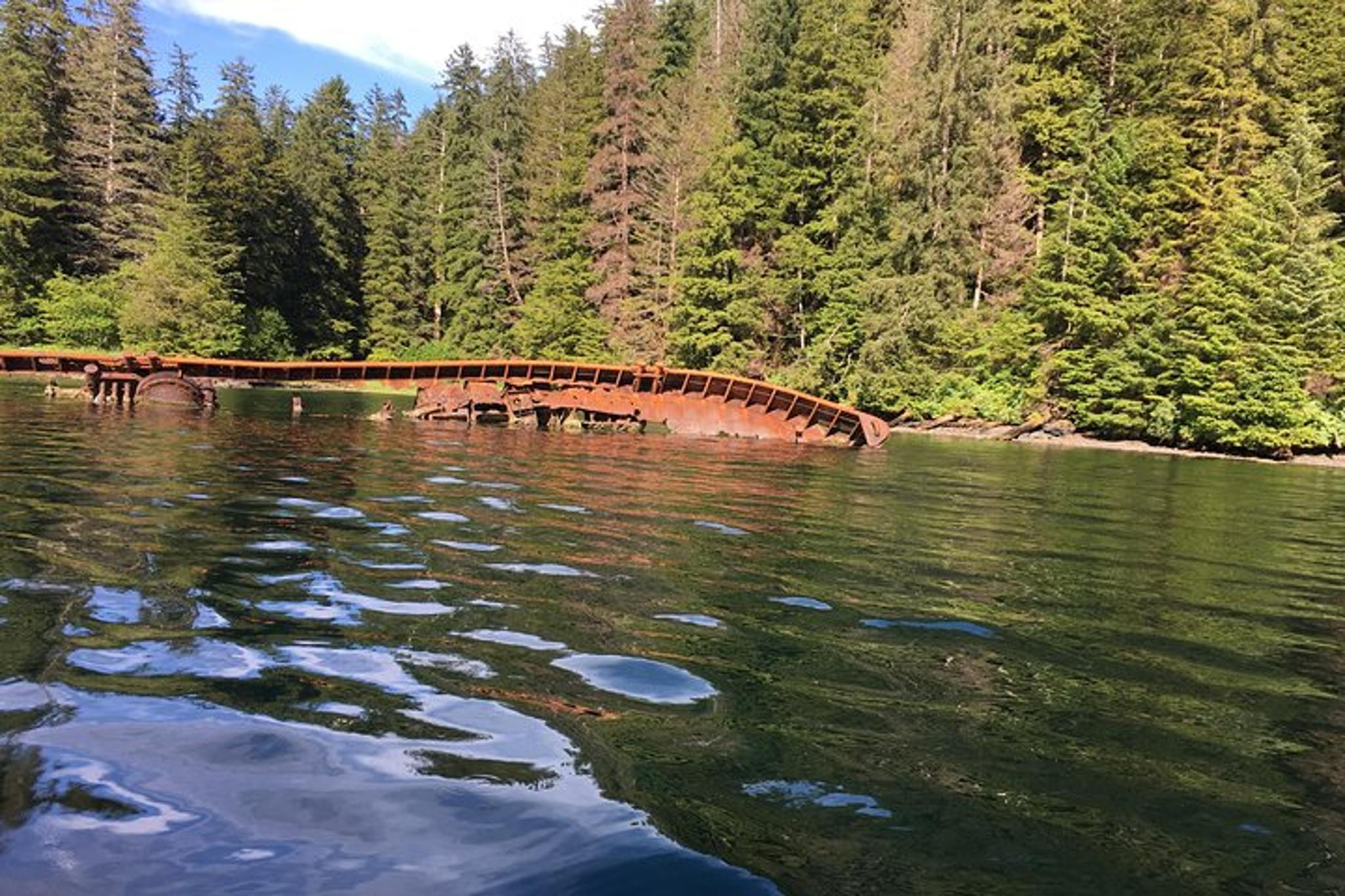 Sitka Whale Watching and Marine Wildlife Tour - Image 4