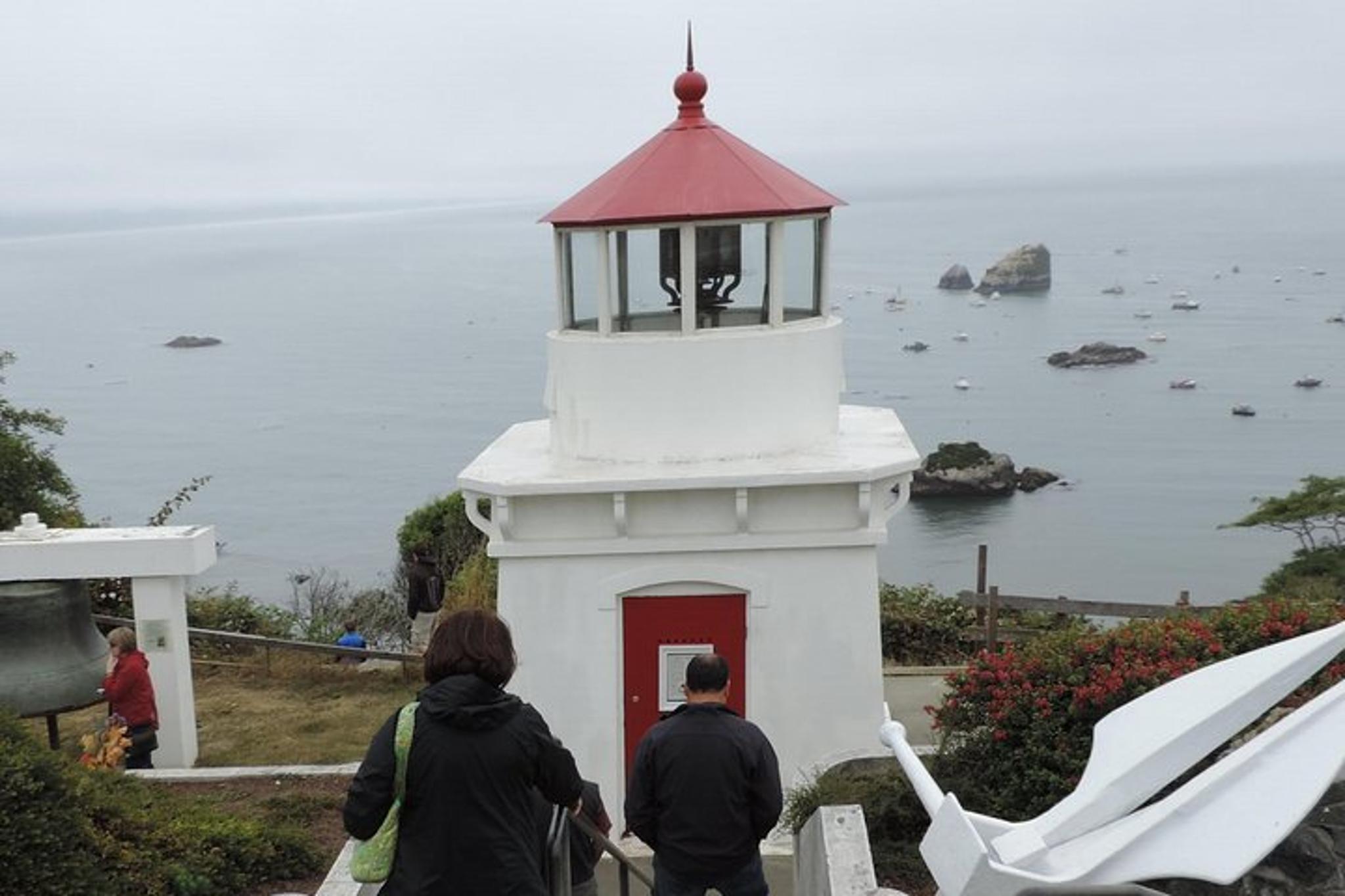 San Francisco Avenue of the Giants Redwoods Tour - Image 6
