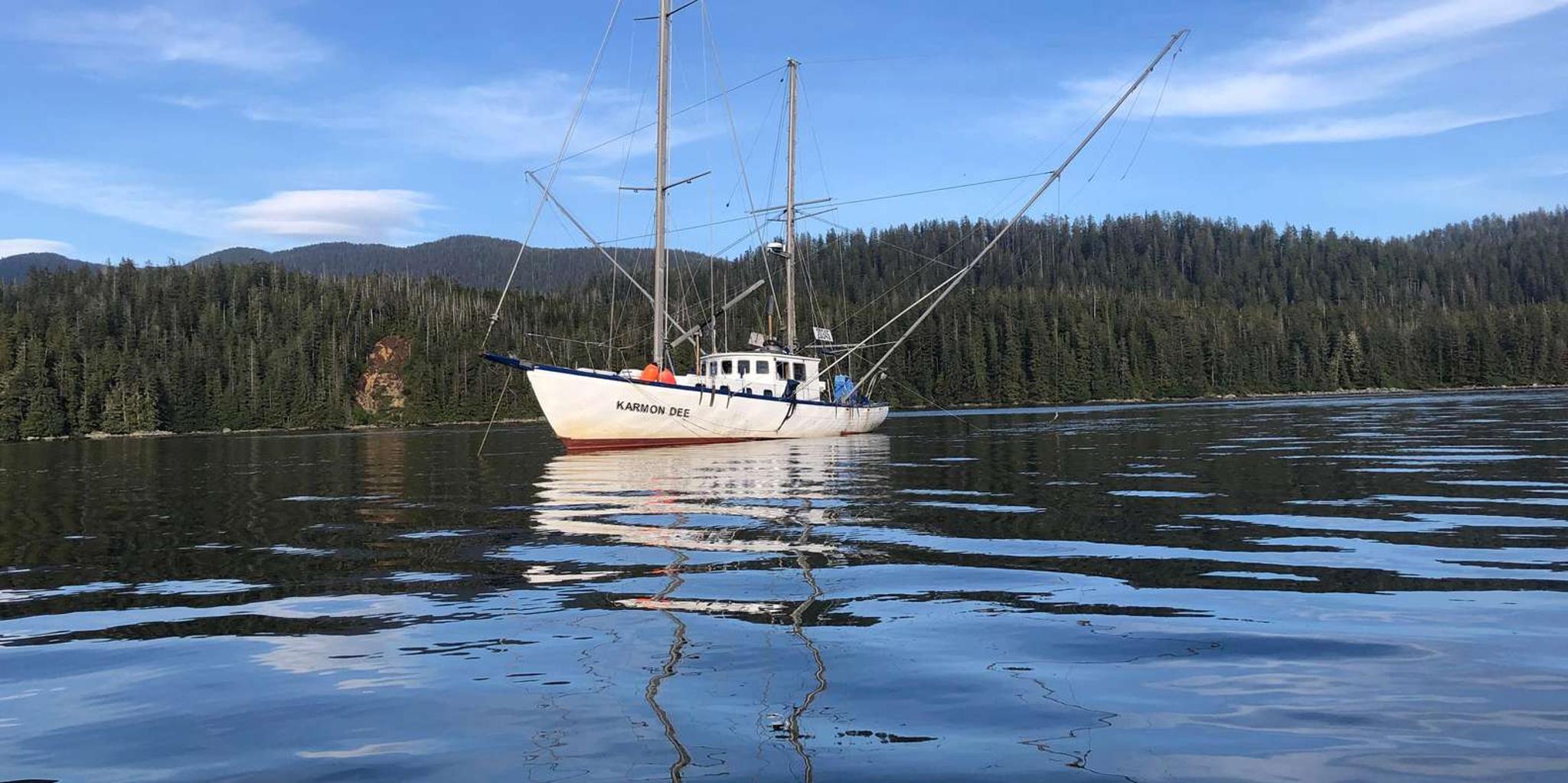 Sitka Whale Watching and Hot Springs Tour - Image 3