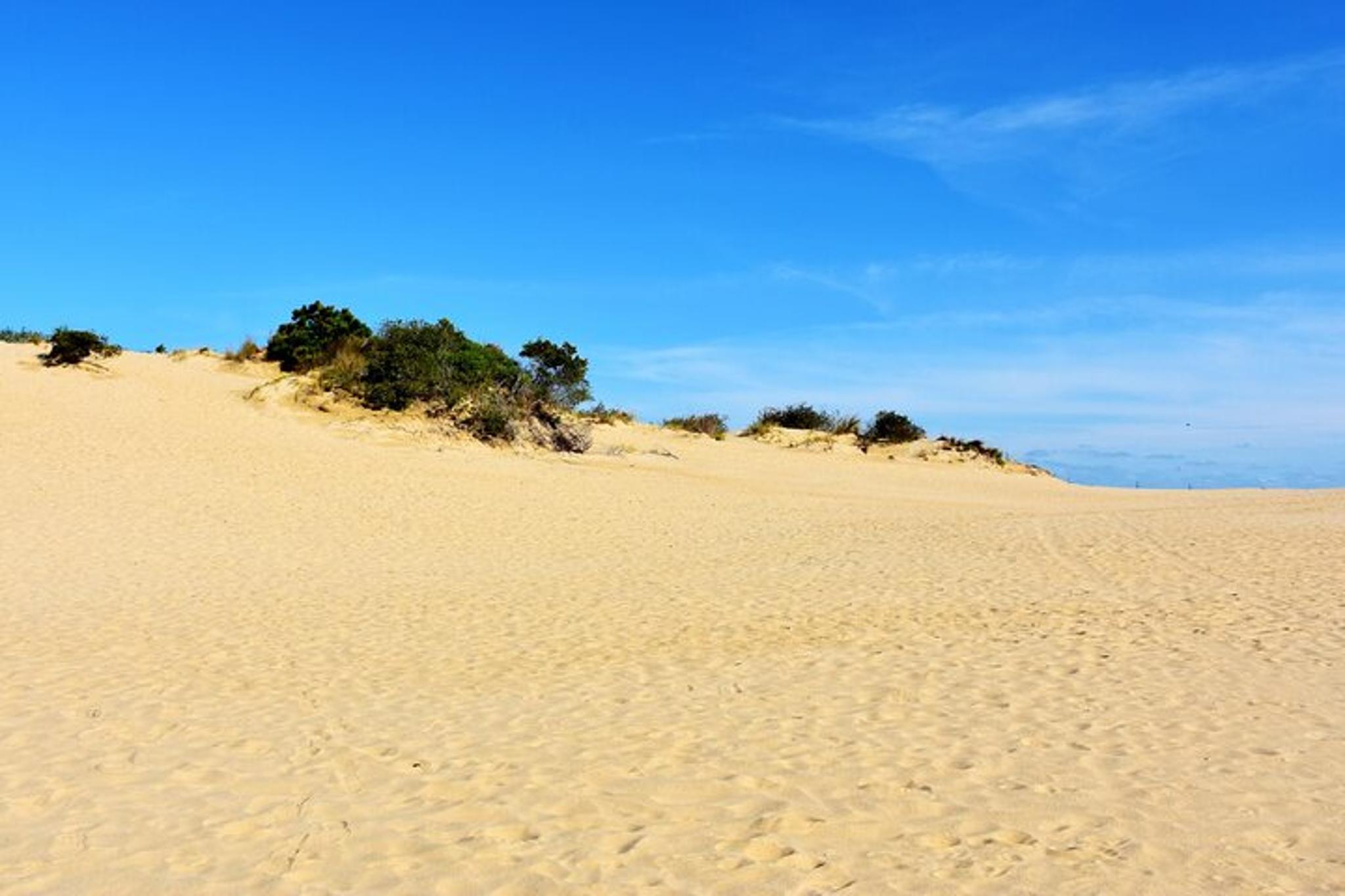 Carolina Dunes Self-Guided Audio Driving Tour - Image 5