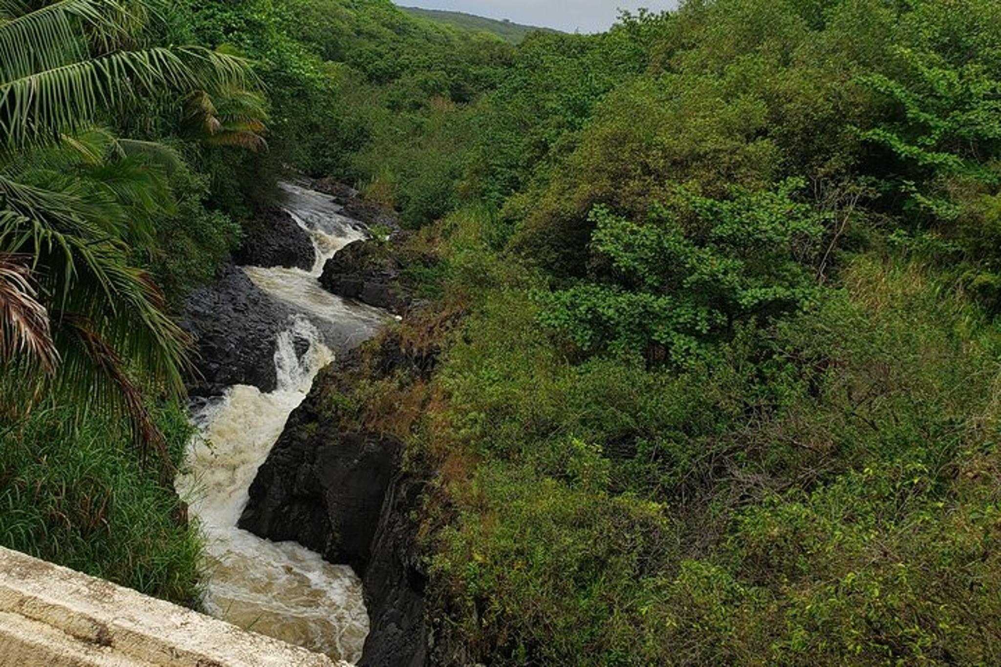 Maui Road to Hana Reverse Tour - Image 5