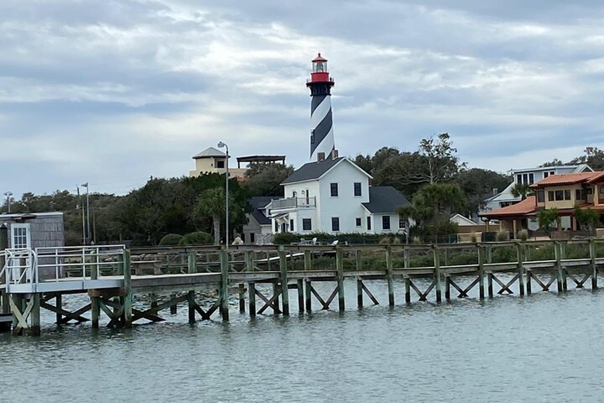 St. Augustine Dolphin and Wildlife Boat Tour - Image 6