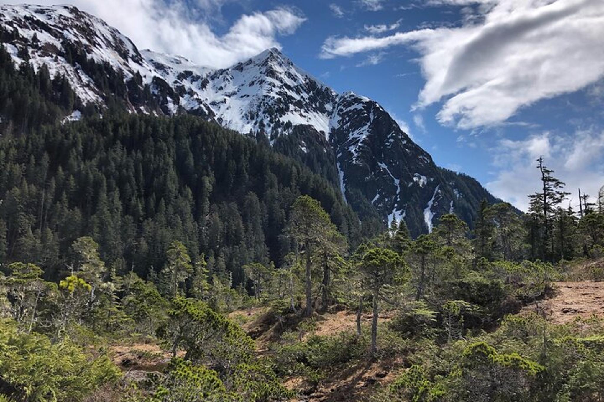 Sitka Guided Hike - Image 5