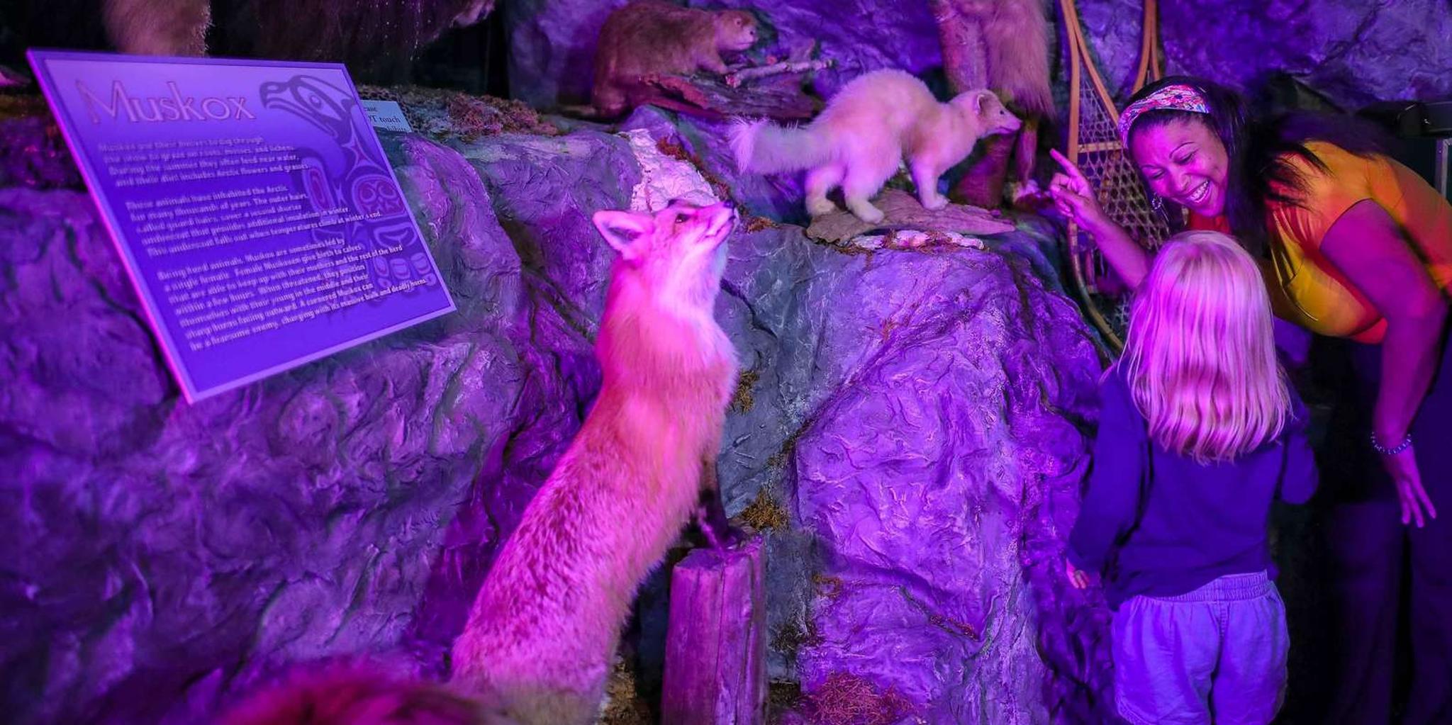 San Antonio Buckhorn Saloon & Texas Ranger Museum Entry - Image 2