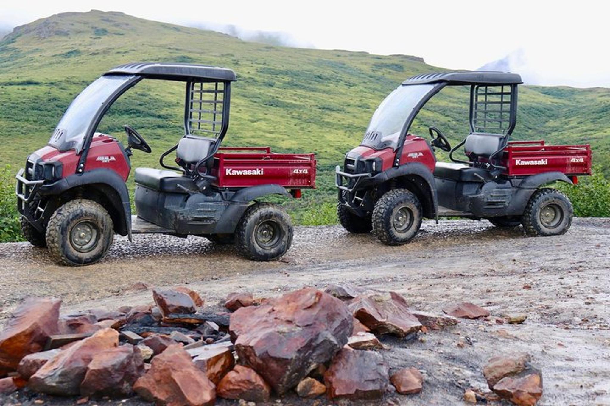 Denali ATV Adventure with Meal 3 hr - Image 2