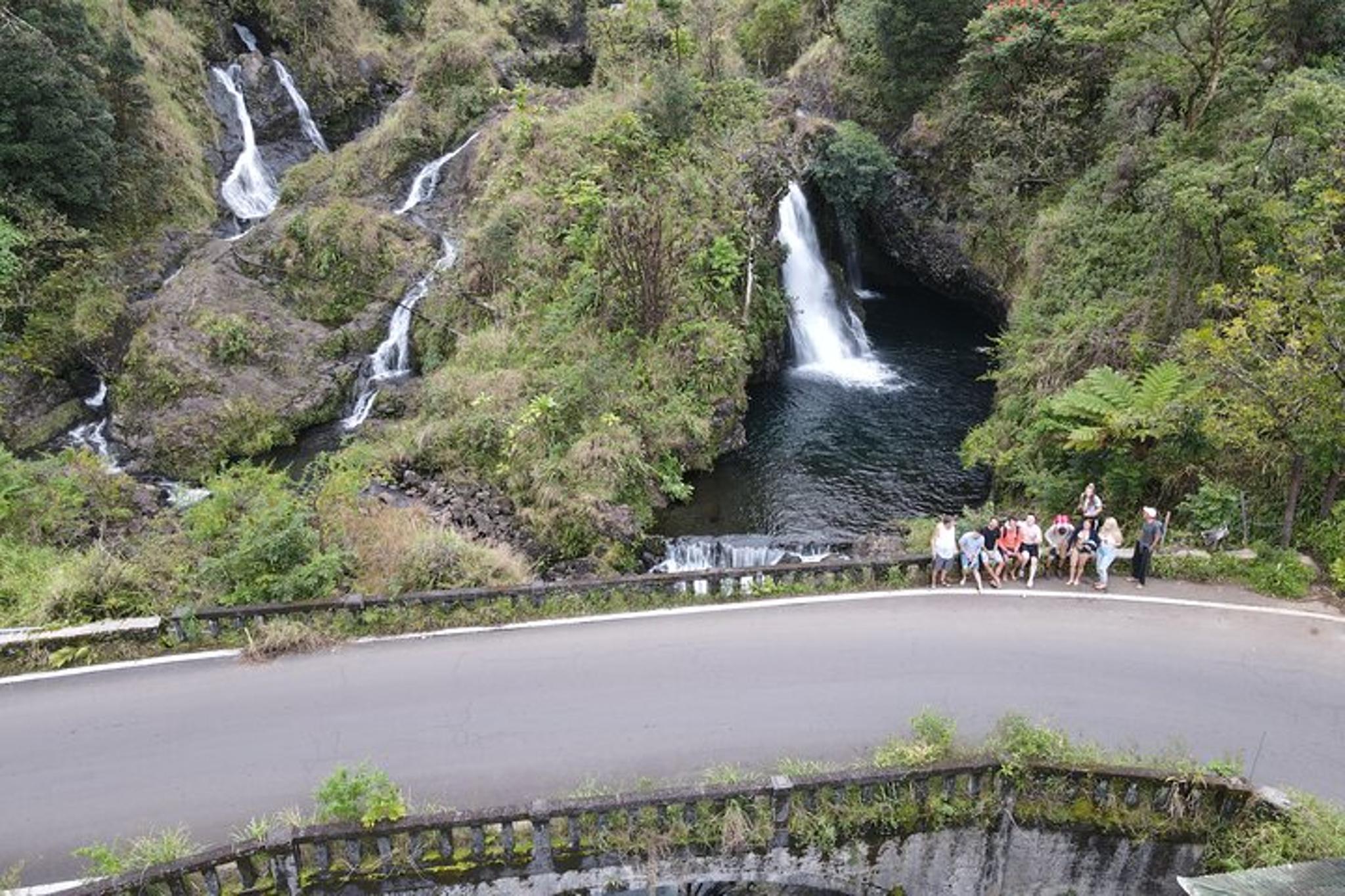 Maui Road to Hana Private Tour - Image 4