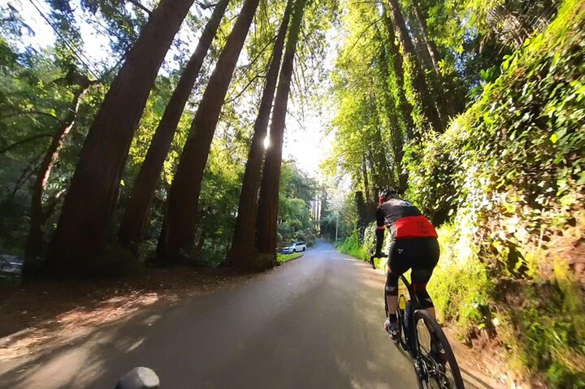 San Francisco Muir Woods Cycling Tour - Image 3