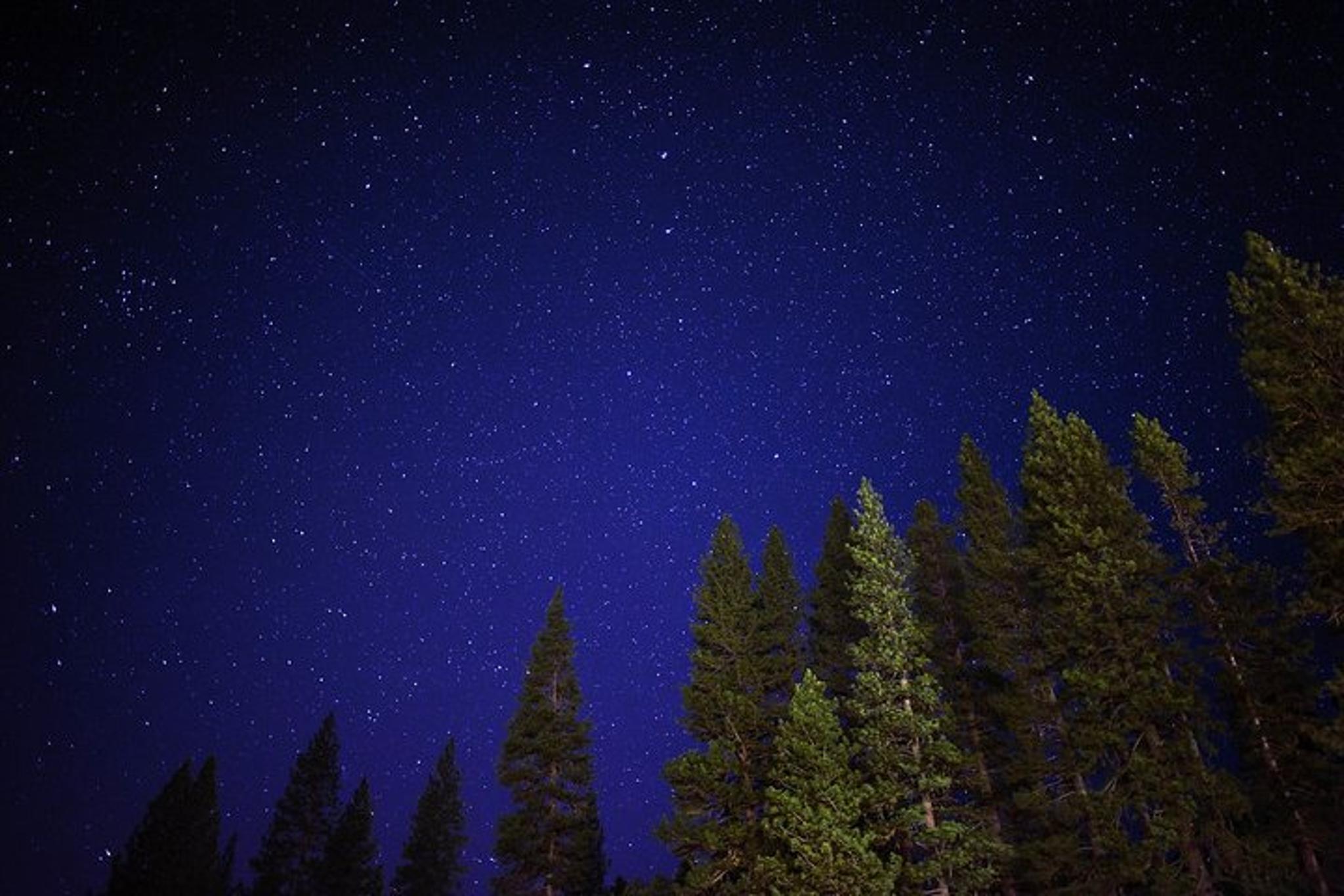 Sequoia National Park Stargazing Tour - Image 6