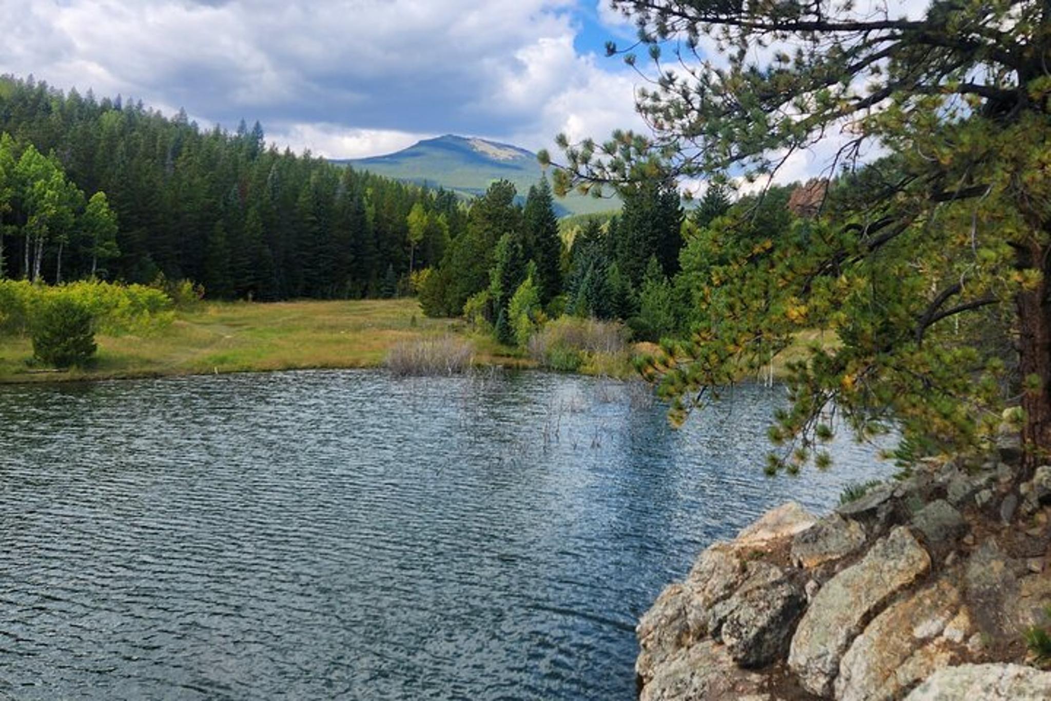 Denver Rockies Hiking Tour Half Day - Image 3