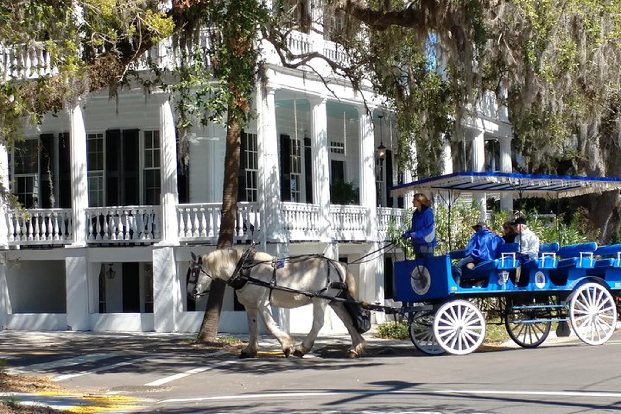 Beaufort Horse Drawn Carriage Tour - Image 5