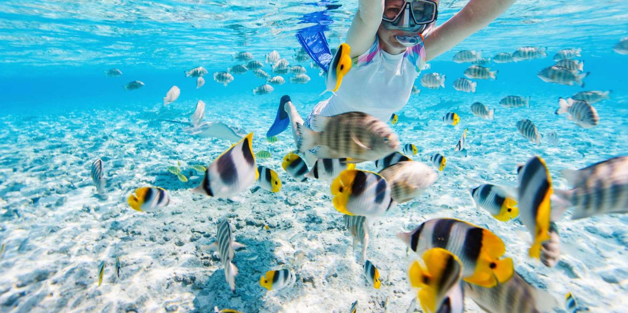 Miami Key West Day Trip with Narration - Image 2