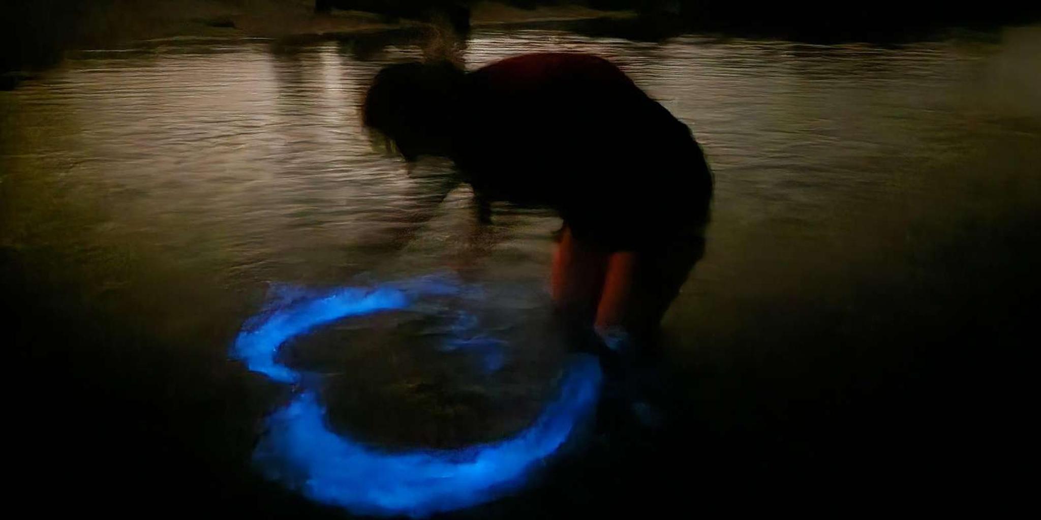 Orlando Bioluminescence Kayak Adventure