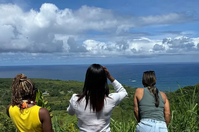 Maui Road to Hana Tour - Image 4
