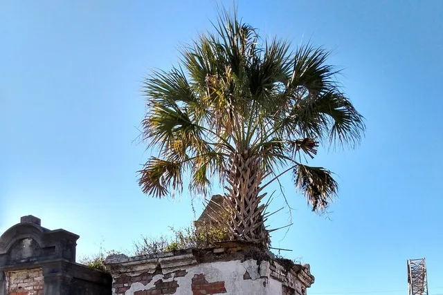 New Orleans Garden District Tour - Image 2