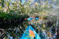 Key West Mangrove Kayak Tour 2 hr thumbnail 1