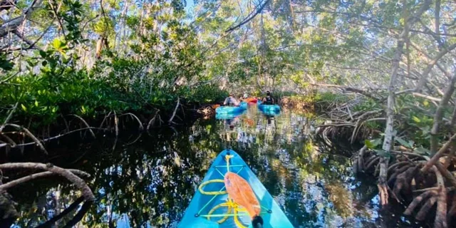 Key West Mangrove Kayak Tour 2 hr - Image 1