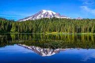 Seattle Mount Rainier National Park Private Tour thumbnail 5