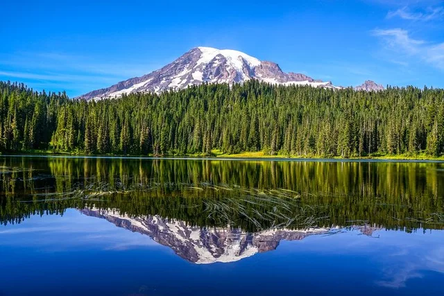 Seattle Mount Rainier National Park Private Tour - Image 5