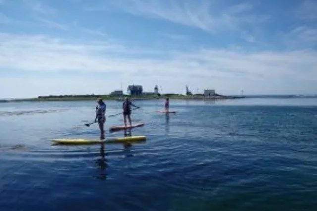Fort Myers Beach SUP and Kayak Tour 1 Hour - Image 6