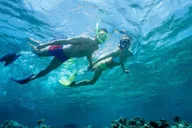Lauderdale-by-the-Sea Snorkeling Adventure thumbnail 1