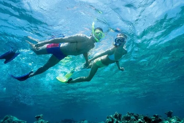Lauderdale-by-the-Sea Snorkeling Adventure - Image 1