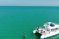 Key West Dolphin and Reef Snorkel Trip with Sunset thumbnail 2