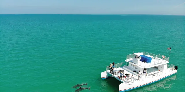 Key West Dolphin and Reef Snorkel Trip with Sunset - Image 2