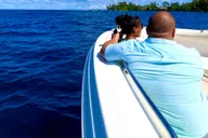 Hilo Humpback Whale-Watching Cruise 1.5 hr thumbnail 2