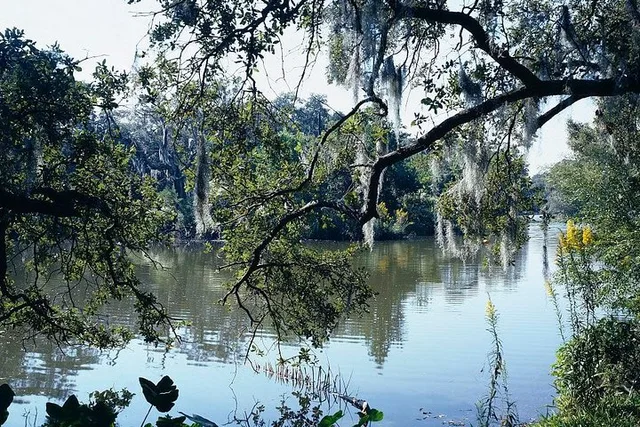 New Orleans City Park Audio Tour - Image 2