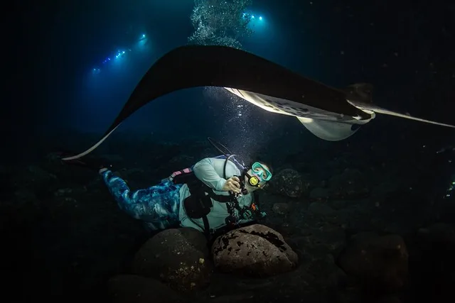 Hawaii Manta Night Dive and Snorkel 3 hr - Image 2