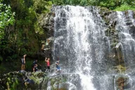 Kauai Guided Hike and Waterfall Swim thumbnail 3
