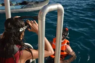 Honolulu Snorkel Adventure and Ocean Playground 2 hr thumbnail 4