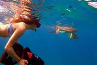 Maui Underwater Scooter Snorkeling Tour thumbnail 1