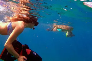 Maui Underwater Scooter Snorkeling Tour