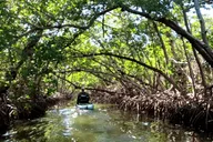 Anna Maria Pedal Kayak Eco-Tour thumbnail 1