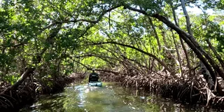 Anna Maria Pedal Kayak Eco-Tour