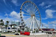Miami Double Decker Sightseeing Bus Tour thumbnail 3