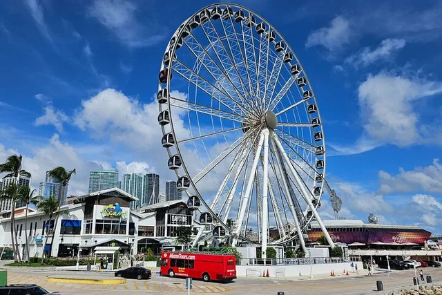 Miami Double Decker Sightseeing Bus Tour - Image 3