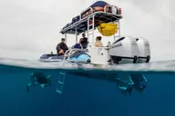 Kihei Molokini Snorkel and Sea Caves Tour 5.5 hr thumbnail 5