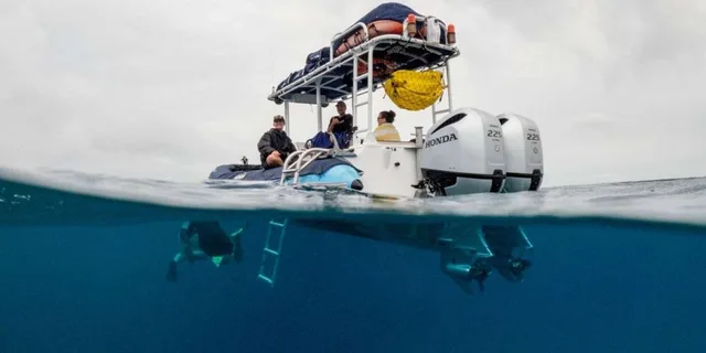 Kihei Molokini Snorkel and Sea Caves Tour 5.5 hr - Image 5