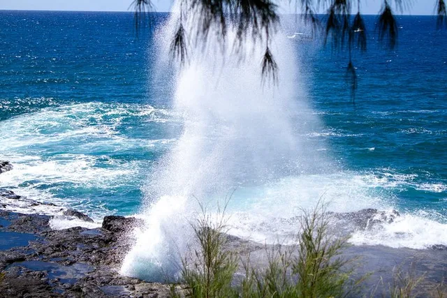 Kauai Private Shuttle Tour - Image 4