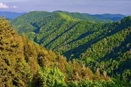 Pigeon Forge Smoky Mountains Jeep Tour thumbnail 1