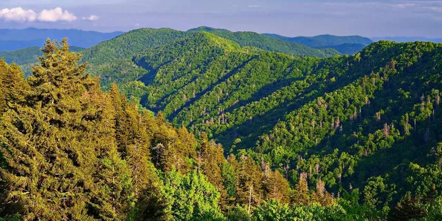 Pigeon Forge Smoky Mountains Jeep Tour - Image 1