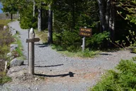 Bar Harbor Acadia National Park Private Tour with Lobster Lunch thumbnail 4