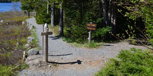 Bar Harbor Acadia National Park Private Tour with Lobster Lunch - Image 4