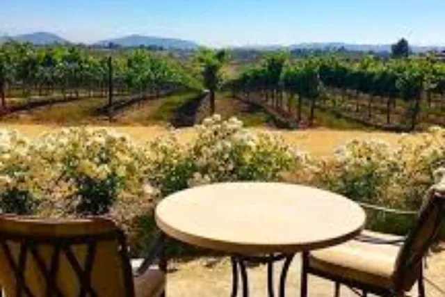 Los Angeles Wine Tour to Temecula - Image 3