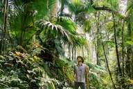 Kona Cloud Forest Sanctuary Jungle Tour thumbnail 1